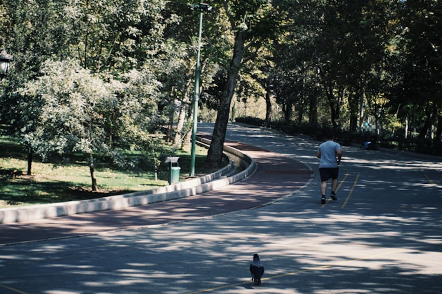 Dorhollexia inspiráció